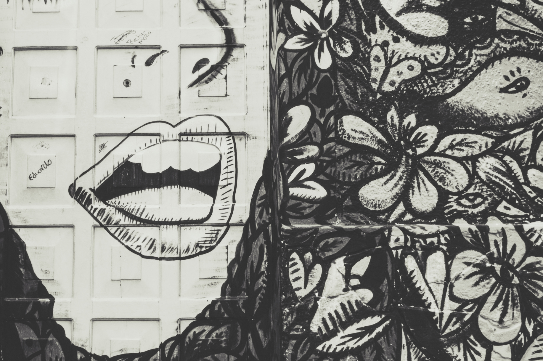 White and Black Floral With Face-printed Door